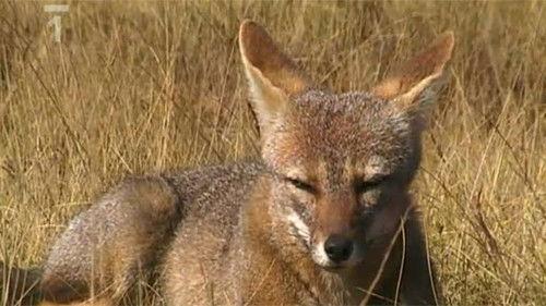 Cestománie Season 5 Episode 9 - Episode 9