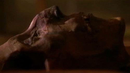 Digging for the Truth Season 3 Episode 7 - Secrets of the Mummies