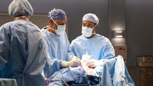 Grey's Anatomy Season 22 Episode 3 - Between Two Lungs