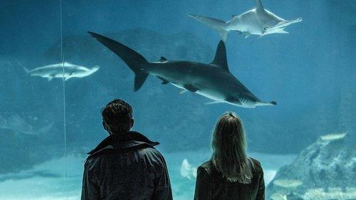 undefined Season 4 Episode 5 - Episode 5