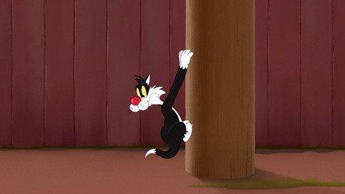 Looney Tunes Cartoons Season 2 Episode 5 - Shrinking Telephone Pole