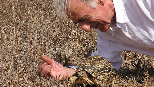 The Life of Mammals Season 1 Episode 4 - Chisellers