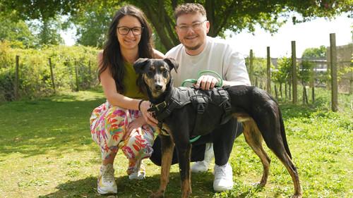 The Dog House Season 8 Episode 1 - Episode 1