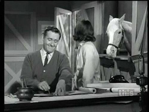 Mister Ed Season 2 Episode 26 - Ed the Matchmaker
