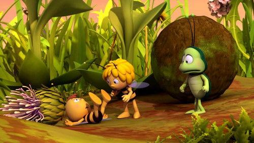 Maya the Bee Season 3 Episode 2 - Willy Loses His Memory
