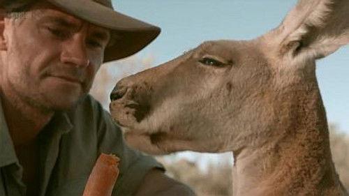 Natural World Season 32 Episode 8 - Kangaroo Dundee (2)