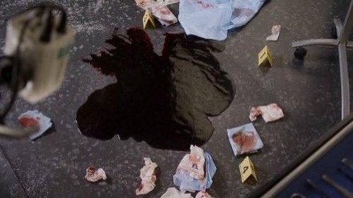 Bones Season 8 Episode 15 - The Shot in the Dark