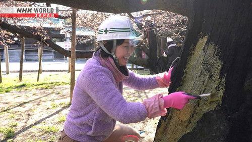 FRONTRUNNERS Season 3 Episode 6 - Tree Surgeon - Goto Mizuho
