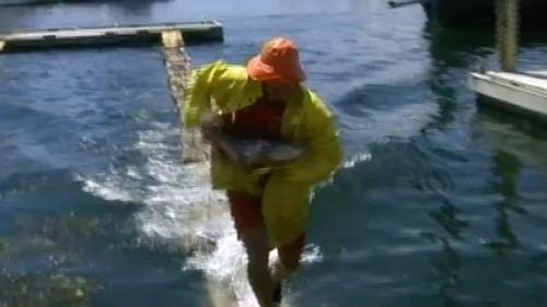 The Challenge Season 4 Episode 3 - Wharf Games
