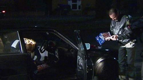 Toto & Harry Season 1 Episode 2 - Episode 2