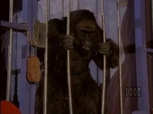 The New Addams Family Season 1 Episode 24 - Morticia and the Ladies League