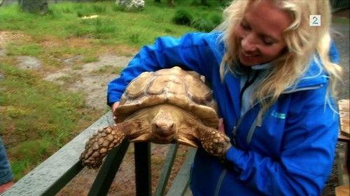 Akvariet Season 3 Episode 7 - Episode 7