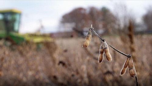 Wisconsin Foodie Season 9 Episode 11 - Simple Soyman