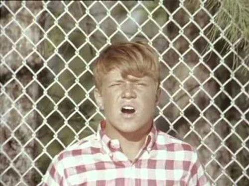 Flipper Season 3 Episode 26 - Cap'n Flint