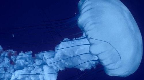 Ad Vitam Season 1 Episode 3 - Episode 3