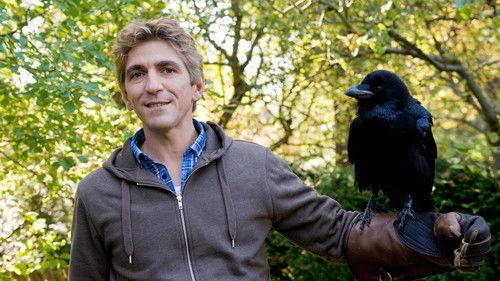 Löwenzahn Season 30 Episode 8 - Episode 8