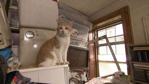 Hoarders Season 4 Episode 12 - Kevin and Mary