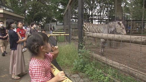 Document 72 Hours Season 11 Episode 21 - The Zoo on a Hill