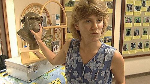 Monkey Business Season 8 Episode 12 - Episode 12