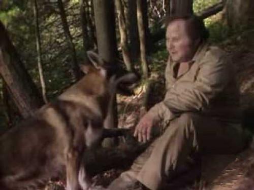 The Littlest Hobo Season 5 Episode 9 - Passage