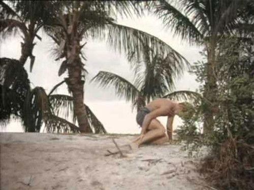 Flipper Season 2 Episode 23 - Gift Dolphin