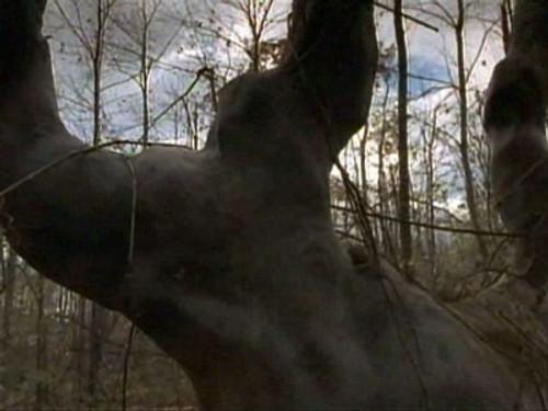 Are You Afraid of the Dark? Season 6 Episode 1 - The Tale of the Forever Game