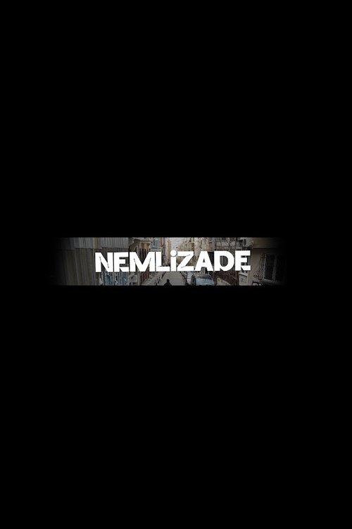 Nemlizade poster