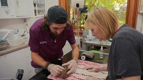 Joanna Page's Wild Life Season 1 Episode 10 - Episode 10