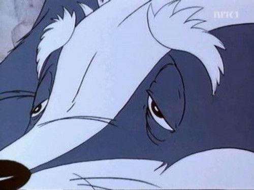 The Animals of Farthing Wood Season 2 Episode 10 - Shadows