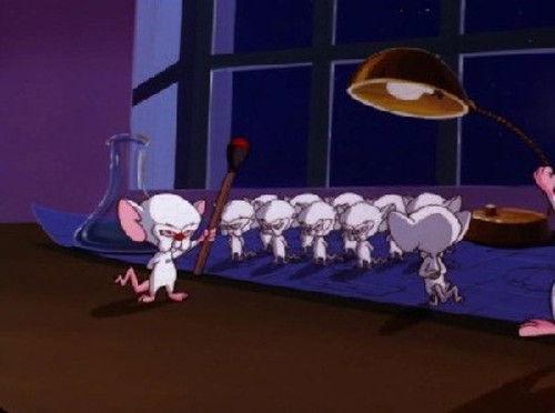 Pinky and the Brain Season 3 Episode 19 - Pinky And The Brainmaker