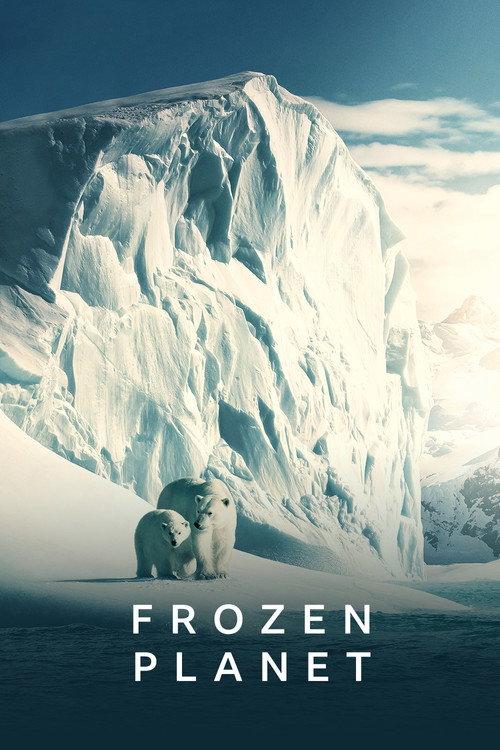 Frozen Planet poster