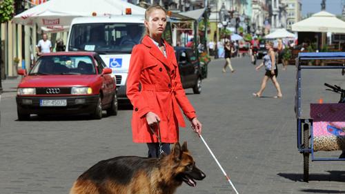 Komisarz Alex Season 2 Episode 4 - Episode 4