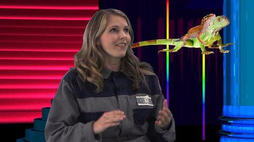 Tim and Eric Qu?z Season 1 Episode 5 - Tim and Eric Qu?z Game 5