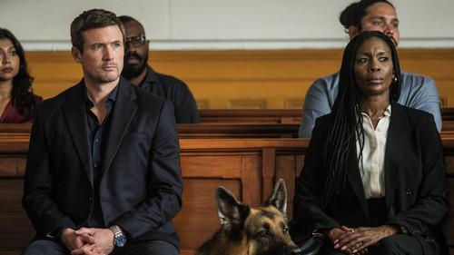 Hudson & Rex Season 5 Episode 9 - Rexpert Witness