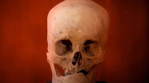 Ancient Aliens Season 3 Episode 16 - Aliens and the Creation of Man