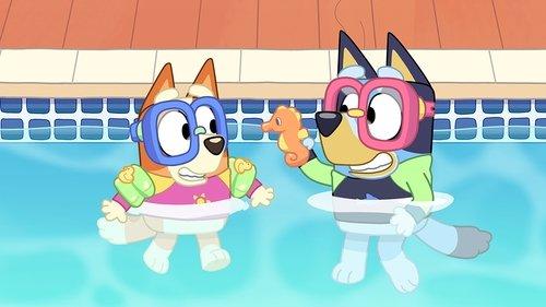 Bluey Season 1 Episode 22 - The Pool