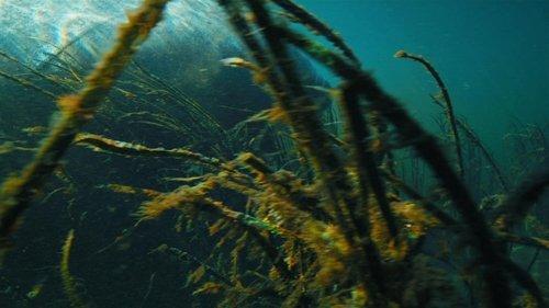 America's National Parks Season 2 Episode 2 - Biscayne