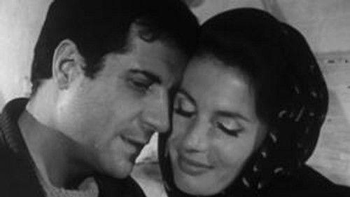 Poly Season 4 Episode 7 - Episode 7