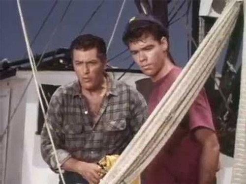 Flipper Season 2 Episode 8 - The Ditching (2)