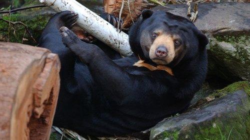 Secrets of the Zoo: Down Under Season 1 Episode 9 - Joey Ride