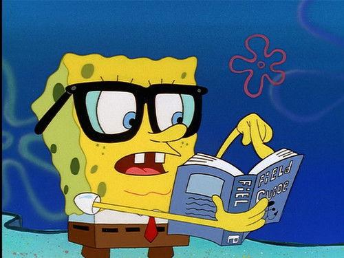 undefined Season 1 Episode 3 - Tea at the Treedome