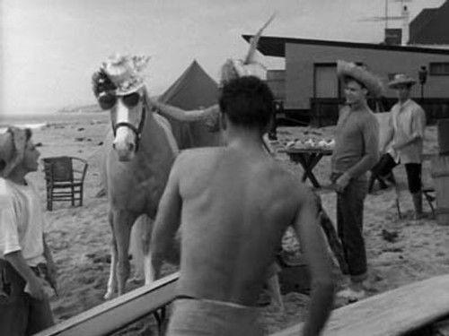 Mister Ed Season 2 Episode 23 - Ed the Beachcomber