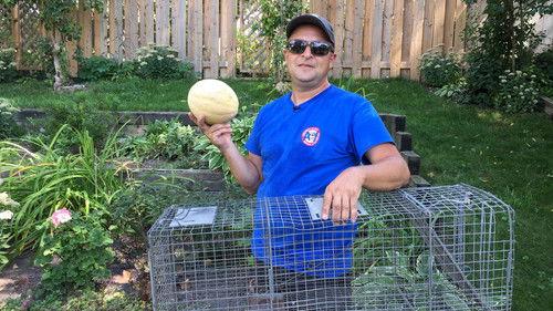 Louis and the Urban Jungle Season 1 Episode 10 - Episode 10