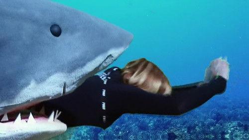 MythBusters Season 9 Episode 19 - Wet and Wild