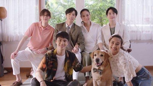 The Miracle of Teddy Bear Season 1 Episode 14 - Episode 14