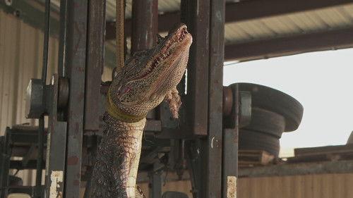 Swamp People Season 15 Episode 11 - Full Moon Frenzy