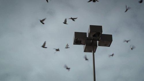 See No Evil Season 6 Episode 12 - It Looks Like You