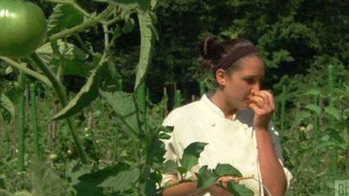 Top Chef Season 5 Episode 8 - Down on the Farm