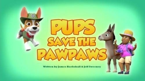 PAW Patrol Season 5 Episode 21 - Pups Save the PawPaws