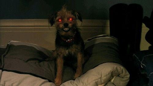 My Babysitter's a Vampire Season 1 Episode 1 - Lawn of the Dead